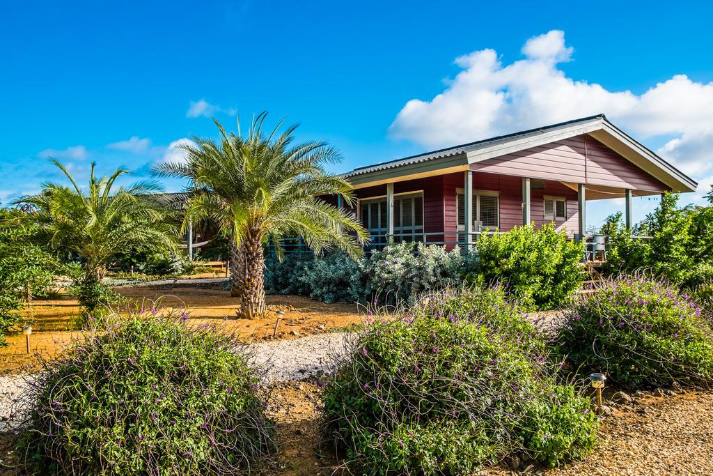 Red Palm Village كراليندايك المظهر الخارجي الصورة