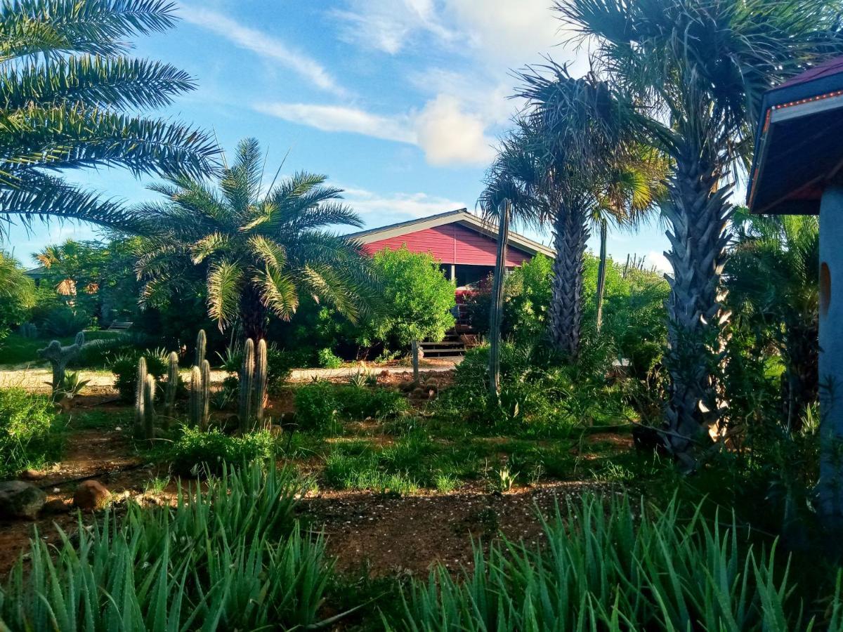 Red Palm Village كراليندايك المظهر الخارجي الصورة