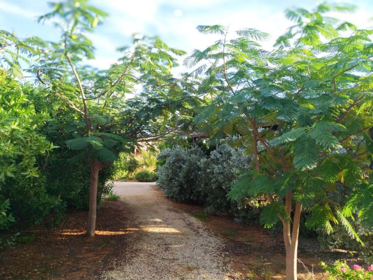 Red Palm Village كراليندايك المظهر الخارجي الصورة