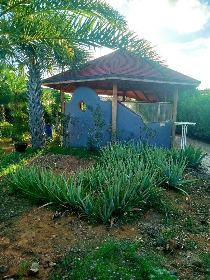 Red Palm Village كراليندايك المظهر الخارجي الصورة
