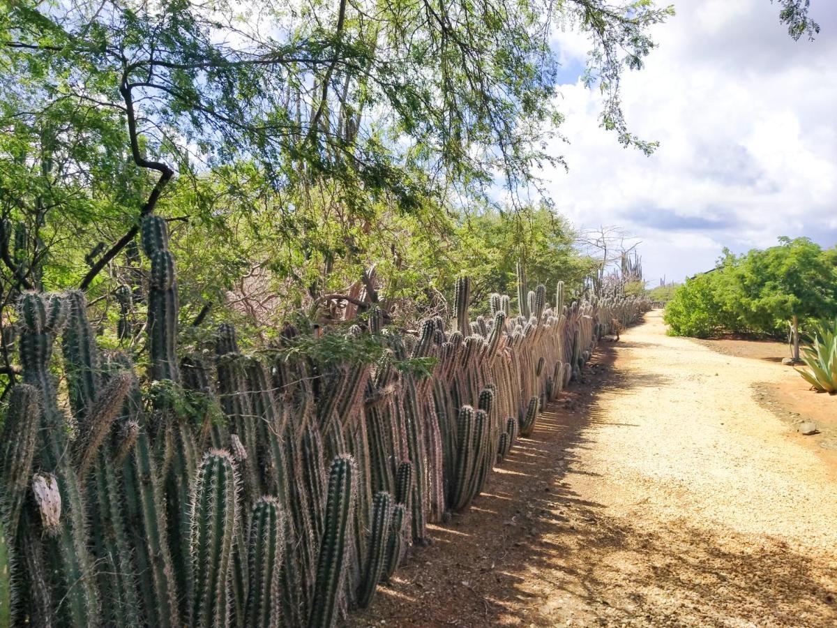 Red Palm Village كراليندايك المظهر الخارجي الصورة