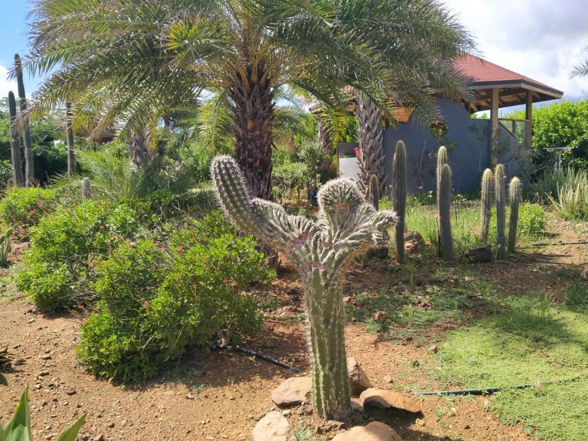 Red Palm Village كراليندايك المظهر الخارجي الصورة